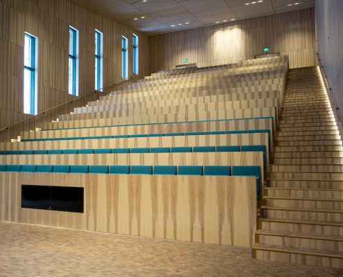 Moesgaard Museum, auditorium. På monitorer i forreste stolerække kan forelæseren se billederne på lærredet bagved uden at vende ryggen til deltagerne