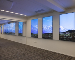 Imponerende omgivelser